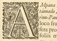 An illustration from Hortus Indicus Malabaricus ?continens regni Malabarici apud Indos cereberrimi onmis generis plantas rariores, Latinas, Malabaricis, Arabicis, Brachmanum charactareibus hominibusque expressas ... /adornatus per Henricum van Rheede, van Draakenstein, ... et Johannem Casearium ... ; notis adauxit, & commentariis illustravit Arnoldus Syen ... (1678)