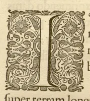 An illustration from Hortus Indicus Malabaricus ?continens regni Malabarici apud Indos cereberrimi onmis generis plantas rariores, Latinas, Malabaricis, Arabicis, Brachmanum charactareibus hominibusque expressas ... /adornatus per Henricum van Rheede, van Draakenstein, ... et Johannem Casearium ... ; notis adauxit, & commentariis illustravit Arnoldus Syen ... (1678)