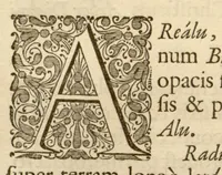 An illustration from Hortus Indicus Malabaricus ?continens regni Malabarici apud Indos cereberrimi onmis generis plantas rariores, Latinas, Malabaricis, Arabicis, Brachmanum charactareibus hominibusque expressas ... /adornatus per Henricum van Rheede, van Draakenstein, ... et Johannem Casearium ... ; notis adauxit, & commentariis illustravit Arnoldus Syen ... (1678)