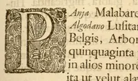 An illustration from Hortus Indicus Malabaricus ?continens regni Malabarici apud Indos cereberrimi onmis generis plantas rariores, Latinas, Malabaricis, Arabicis, Brachmanum charactareibus hominibusque expressas ... /adornatus per Henricum van Rheede, van Draakenstein, ... et Johannem Casearium ... ; notis adauxit, & commentariis illustravit Arnoldus Syen ... (1678)
