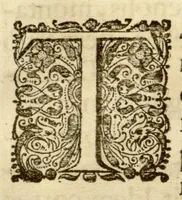 An illustration from Hortus Indicus Malabaricus ?continens regni Malabarici apud Indos cereberrimi onmis generis plantas rariores, Latinas, Malabaricis, Arabicis, Brachmanum charactareibus hominibusque expressas ... /adornatus per Henricum van Rheede, van Draakenstein, ... et Johannem Casearium ... ; notis adauxit, & commentariis illustravit Arnoldus Syen ... (1678)