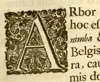 An illustration from Hortus Indicus Malabaricus ?continens regni Malabarici apud Indos cereberrimi onmis generis plantas rariores, Latinas, Malabaricis, Arabicis, Brachmanum charactareibus hominibusque expressas ... /adornatus per Henricum van Rheede, van Draakenstein, ... et Johannem Casearium ... ; notis adauxit, & commentariis illustravit Arnoldus Syen ... (1678)