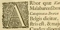 An illustration from Hortus Indicus Malabaricus ?continens regni Malabarici apud Indos cereberrimi onmis generis plantas rariores, Latinas, Malabaricis, Arabicis, Brachmanum charactareibus hominibusque expressas ... /adornatus per Henricum van Rheede, van Draakenstein, ... et Johannem Casearium ... ; notis adauxit, & commentariis illustravit Arnoldus Syen ... (1678)