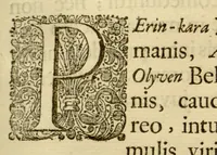 An illustration from Hortus Indicus Malabaricus ?continens regni Malabarici apud Indos cereberrimi onmis generis plantas rariores, Latinas, Malabaricis, Arabicis, Brachmanum charactareibus hominibusque expressas ... /adornatus per Henricum van Rheede, van Draakenstein, ... et Johannem Casearium ... ; notis adauxit, & commentariis illustravit Arnoldus Syen ... (1678)