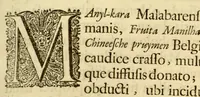 An illustration from Hortus Indicus Malabaricus ?continens regni Malabarici apud Indos cereberrimi onmis generis plantas rariores, Latinas, Malabaricis, Arabicis, Brachmanum charactareibus hominibusque expressas ... /adornatus per Henricum van Rheede, van Draakenstein, ... et Johannem Casearium ... ; notis adauxit, & commentariis illustravit Arnoldus Syen ... (1678)
