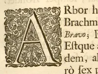 An illustration from Hortus Indicus Malabaricus ?continens regni Malabarici apud Indos cereberrimi onmis generis plantas rariores, Latinas, Malabaricis, Arabicis, Brachmanum charactareibus hominibusque expressas ... /adornatus per Henricum van Rheede, van Draakenstein, ... et Johannem Casearium ... ; notis adauxit, & commentariis illustravit Arnoldus Syen ... (1678)