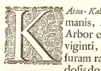 An illustration from Hortus Indicus Malabaricus ?continens regni Malabarici apud Indos cereberrimi onmis generis plantas rariores, Latinas, Malabaricis, Arabicis, Brachmanum charactareibus hominibusque expressas ... /adornatus per Henricum van Rheede, van Draakenstein, ... et Johannem Casearium ... ; notis adauxit, & commentariis illustravit Arnoldus Syen ... (1678)