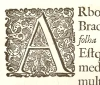 Picture 22 of 34 from Hortus Indicus Malabaricus ?continens regni Malabarici apud Indos cereberrimi onmis generis plantas rariores, Latinas, Malabaricis, Arabicis, Brachmanum charactareibus hominibusque expressas ... /adornatus per Henricum van Rheede, van Draakenstein, ... et Johannem Casearium ... ; notis adauxit, & commentariis illustravit Arnoldus Syen ... (1678), leaf 266