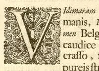 An illustration from Hortus Indicus Malabaricus ?continens regni Malabarici apud Indos cereberrimi onmis generis plantas rariores, Latinas, Malabaricis, Arabicis, Brachmanum charactareibus hominibusque expressas ... /adornatus per Henricum van Rheede, van Draakenstein, ... et Johannem Casearium ... ; notis adauxit, & commentariis illustravit Arnoldus Syen ... (1678)