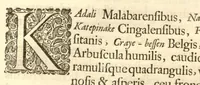 An illustration from Hortus Indicus Malabaricus ?continens regni Malabarici apud Indos cereberrimi onmis generis plantas rariores, Latinas, Malabaricis, Arabicis, Brachmanum charactareibus hominibusque expressas ... /adornatus per Henricum van Rheede, van Draakenstein, ... et Johannem Casearium ... ; notis adauxit, & commentariis illustravit Arnoldus Syen ... (1678)