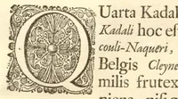 An illustration from Hortus Indicus Malabaricus ?continens regni Malabarici apud Indos cereberrimi onmis generis plantas rariores, Latinas, Malabaricis, Arabicis, Brachmanum charactareibus hominibusque expressas ... /adornatus per Henricum van Rheede, van Draakenstein, ... et Johannem Casearium ... ; notis adauxit, & commentariis illustravit Arnoldus Syen ... (1678)