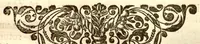 An illustration from Hortus Indicus Malabaricus ?continens regni Malabarici apud Indos cereberrimi onmis generis plantas rariores, Latinas, Malabaricis, Arabicis, Brachmanum charactareibus hominibusque expressas ... /adornatus per Henricum van Rheede, van Draakenstein, ... et Johannem Casearium ... ; notis adauxit, & commentariis illustravit Arnoldus Syen ... (1678)