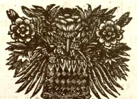 Picture 33 of 34 from Hortus Indicus Malabaricus ?continens regni Malabarici apud Indos cereberrimi onmis generis plantas rariores, Latinas, Malabaricis, Arabicis, Brachmanum charactareibus hominibusque expressas ... /adornatus per Henricum van Rheede, van Draakenstein, ... et Johannem Casearium ... ; notis adauxit, & commentariis illustravit Arnoldus Syen ... (1678), leaf 330