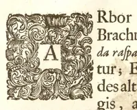An illustration from Hortus Indicus Malabaricus ?continens regni Malabarici apud Indos cereberrimi onmis generis plantas rariores, Latinas, Malabaricis, Arabicis, Brachmanum charactareibus hominibusque expressas ... /adornatus per Henricum van Rheede, van Draakenstein, ... et Johannem Casearium ... ; notis adauxit, & commentariis illustravit Arnoldus Syen ... (1678)