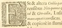 An illustration from Hortus Indicus Malabaricus ?continens regni Malabarici apud Indos cereberrimi onmis generis plantas rariores, Latinas, Malabaricis, Arabicis, Brachmanum charactareibus hominibusque expressas ... /adornatus per Henricum van Rheede, van Draakenstein, ... et Johannem Casearium ... ; notis adauxit, & commentariis illustravit Arnoldus Syen ... (1678)