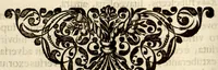 An illustration from Hortus Indicus Malabaricus ?continens regni Malabarici apud Indos cereberrimi onmis generis plantas rariores, Latinas, Malabaricis, Arabicis, Brachmanum charactareibus hominibusque expressas ... /adornatus per Henricum van Rheede, van Draakenstein, ... et Johannem Casearium ... ; notis adauxit, & commentariis illustravit Arnoldus Syen ... (1678)