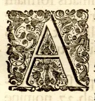 An illustration from Hortus Indicus Malabaricus ?continens regni Malabarici apud Indos cereberrimi onmis generis plantas rariores, Latinas, Malabaricis, Arabicis, Brachmanum charactareibus hominibusque expressas ... /adornatus per Henricum van Rheede, van Draakenstein, ... et Johannem Casearium ... ; notis adauxit, & commentariis illustravit Arnoldus Syen ... (1678)