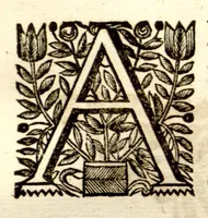Picture 24 of 43 from Hortus Indicus Malabaricus ?continens regni Malabarici apud Indos cereberrimi onmis generis plantas rariores, Latinas, Malabaricis, Arabicis, Brachmanum charactareibus hominibusque expressas ... /adornatus per Henricum van Rheede, van Draakenstein, ... et Johannem Casearium ... ; notis adauxit, & commentariis illustravit Arnoldus Syen ... (1678), leaf 135