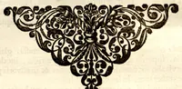 An illustration from Hortus Indicus Malabaricus ?continens regni Malabarici apud Indos cereberrimi onmis generis plantas rariores, Latinas, Malabaricis, Arabicis, Brachmanum charactareibus hominibusque expressas ... /adornatus per Henricum van Rheede, van Draakenstein, ... et Johannem Casearium ... ; notis adauxit, & commentariis illustravit Arnoldus Syen ... (1678)