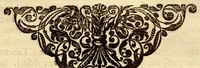 An illustration from Hortus Indicus Malabaricus ?continens regni Malabarici apud Indos cereberrimi onmis generis plantas rariores, Latinas, Malabaricis, Arabicis, Brachmanum charactareibus hominibusque expressas ... /adornatus per Henricum van Rheede, van Draakenstein, ... et Johannem Casearium ... ; notis adauxit, & commentariis illustravit Arnoldus Syen ... (1678)
