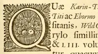 An illustration from Hortus Indicus Malabaricus ?continens regni Malabarici apud Indos cereberrimi onmis generis plantas rariores, Latinas, Malabaricis, Arabicis, Brachmanum charactareibus hominibusque expressas ... /adornatus per Henricum van Rheede, van Draakenstein, ... et Johannem Casearium ... ; notis adauxit, & commentariis illustravit Arnoldus Syen ... (1678)