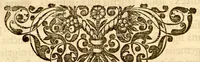 Picture 33 of 43 from Hortus Indicus Malabaricus ?continens regni Malabarici apud Indos cereberrimi onmis generis plantas rariores, Latinas, Malabaricis, Arabicis, Brachmanum charactareibus hominibusque expressas ... /adornatus per Henricum van Rheede, van Draakenstein, ... et Johannem Casearium ... ; notis adauxit, & commentariis illustravit Arnoldus Syen ... (1678), leaf 242
