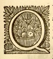 An illustration from Hortus Indicus Malabaricus ?continens regni Malabarici apud Indos cereberrimi onmis generis plantas rariores, Latinas, Malabaricis, Arabicis, Brachmanum charactareibus hominibusque expressas ... /adornatus per Henricum van Rheede, van Draakenstein, ... et Johannem Casearium ... ; notis adauxit, & commentariis illustravit Arnoldus Syen ... (1678)