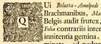 An illustration from Hortus Indicus Malabaricus ?continens regni Malabarici apud Indos cereberrimi onmis generis plantas rariores, Latinas, Malabaricis, Arabicis, Brachmanum charactareibus hominibusque expressas ... /adornatus per Henricum van Rheede, van Draakenstein, ... et Johannem Casearium ... ; notis adauxit, & commentariis illustravit Arnoldus Syen ... (1678)