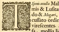 An illustration from Hortus Indicus Malabaricus ?continens regni Malabarici apud Indos cereberrimi onmis generis plantas rariores, Latinas, Malabaricis, Arabicis, Brachmanum charactareibus hominibusque expressas ... /adornatus per Henricum van Rheede, van Draakenstein, ... et Johannem Casearium ... ; notis adauxit, & commentariis illustravit Arnoldus Syen ... (1678)