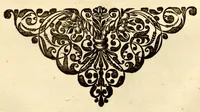 An illustration from Hortus Indicus Malabaricus ?continens regni Malabarici apud Indos cereberrimi onmis generis plantas rariores, Latinas, Malabaricis, Arabicis, Brachmanum charactareibus hominibusque expressas ... /adornatus per Henricum van Rheede, van Draakenstein, ... et Johannem Casearium ... ; notis adauxit, & commentariis illustravit Arnoldus Syen ... (1678)