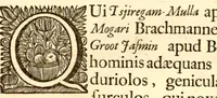 An illustration from Hortus Indicus Malabaricus ?continens regni Malabarici apud Indos cereberrimi onmis generis plantas rariores, Latinas, Malabaricis, Arabicis, Brachmanum charactareibus hominibusque expressas ... /adornatus per Henricum van Rheede, van Draakenstein, ... et Johannem Casearium ... ; notis adauxit, & commentariis illustravit Arnoldus Syen ... (1678)
