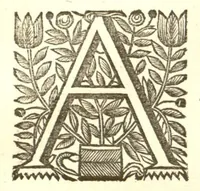 Picture 7 of 43 from Hortus Indicus Malabaricus ?continens regni Malabarici apud Indos cereberrimi onmis generis plantas rariores, Latinas, Malabaricis, Arabicis, Brachmanum charactareibus hominibusque expressas ... /adornatus per Henricum van Rheede, van Draakenstein, ... et Johannem Casearium ... ; notis adauxit, & commentariis illustravit Arnoldus Syen ... (1678), leaf 52