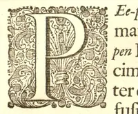 An illustration from Hortus Indicus Malabaricus ?continens regni Malabarici apud Indos cereberrimi onmis generis plantas rariores, Latinas, Malabaricis, Arabicis, Brachmanum charactareibus hominibusque expressas ... /adornatus per Henricum van Rheede, van Draakenstein, ... et Johannem Casearium ... ; notis adauxit, & commentariis illustravit Arnoldus Syen ... (1678)