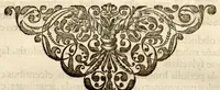 An illustration from Hortus Indicus Malabaricus ?continens regni Malabarici apud Indos cereberrimi onmis generis plantas rariores, Latinas, Malabaricis, Arabicis, Brachmanum charactareibus hominibusque expressas ... /adornatus per Henricum van Rheede, van Draakenstein, ... et Johannem Casearium ... ; notis adauxit, & commentariis illustravit Arnoldus Syen ... (1678)