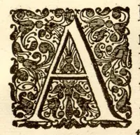 An illustration from Hortus Indicus Malabaricus ?continens regni Malabarici apud Indos cereberrimi onmis generis plantas rariores, Latinas, Malabaricis, Arabicis, Brachmanum charactareibus hominibusque expressas ... /adornatus per Henricum van Rheede, van Draakenstein, ... et Johannem Casearium ... ; notis adauxit, & commentariis illustravit Arnoldus Syen ... (1678)