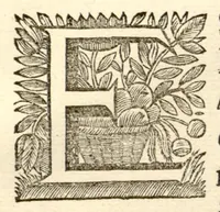 Picture 15 of 43 from Hortus Indicus Malabaricus ?continens regni Malabarici apud Indos cereberrimi onmis generis plantas rariores, Latinas, Malabaricis, Arabicis, Brachmanum charactareibus hominibusque expressas ... /adornatus per Henricum van Rheede, van Draakenstein, ... et Johannem Casearium ... ; notis adauxit, & commentariis illustravit Arnoldus Syen ... (1678), leaf 91
