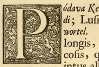 Picture 23 of 44 from Hortus Indicus Malabaricus ?continens regni Malabarici apud Indos cereberrimi onmis generis plantas rariores, Latinas, Malabaricis, Arabicis, Brachmanum charactareibus hominibusque expressas ... /adornatus per Henricum van Rheede, van Draakenstein, ... et Johannem Casearium ... ; notis adauxit, & commentariis illustravit Arnoldus Syen ... (1678), leaf 118