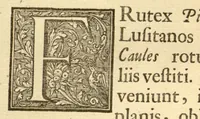 Picture 24 of 44 from Hortus Indicus Malabaricus ?continens regni Malabarici apud Indos cereberrimi onmis generis plantas rariores, Latinas, Malabaricis, Arabicis, Brachmanum charactareibus hominibusque expressas ... /adornatus per Henricum van Rheede, van Draakenstein, ... et Johannem Casearium ... ; notis adauxit, & commentariis illustravit Arnoldus Syen ... (1678), leaf 122