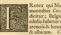 An illustration from Hortus Indicus Malabaricus ?continens regni Malabarici apud Indos cereberrimi onmis generis plantas rariores, Latinas, Malabaricis, Arabicis, Brachmanum charactareibus hominibusque expressas ... /adornatus per Henricum van Rheede, van Draakenstein, ... et Johannem Casearium ... ; notis adauxit, & commentariis illustravit Arnoldus Syen ... (1678)