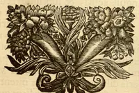 Picture 29 of 44 from Hortus Indicus Malabaricus ?continens regni Malabarici apud Indos cereberrimi onmis generis plantas rariores, Latinas, Malabaricis, Arabicis, Brachmanum charactareibus hominibusque expressas ... /adornatus per Henricum van Rheede, van Draakenstein, ... et Johannem Casearium ... ; notis adauxit, & commentariis illustravit Arnoldus Syen ... (1678), leaf 170