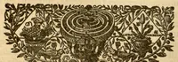 Picture 32 of 44 from Hortus Indicus Malabaricus ?continens regni Malabarici apud Indos cereberrimi onmis generis plantas rariores, Latinas, Malabaricis, Arabicis, Brachmanum charactareibus hominibusque expressas ... /adornatus per Henricum van Rheede, van Draakenstein, ... et Johannem Casearium ... ; notis adauxit, & commentariis illustravit Arnoldus Syen ... (1678), leaf 183