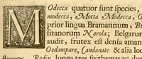 An illustration from Hortus Indicus Malabaricus ?continens regni Malabarici apud Indos cereberrimi onmis generis plantas rariores, Latinas, Malabaricis, Arabicis, Brachmanum charactareibus hominibusque expressas ... /adornatus per Henricum van Rheede, van Draakenstein, ... et Johannem Casearium ... ; notis adauxit, & commentariis illustravit Arnoldus Syen ... (1678)