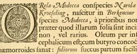 An illustration from Hortus Indicus Malabaricus ?continens regni Malabarici apud Indos cereberrimi onmis generis plantas rariores, Latinas, Malabaricis, Arabicis, Brachmanum charactareibus hominibusque expressas ... /adornatus per Henricum van Rheede, van Draakenstein, ... et Johannem Casearium ... ; notis adauxit, & commentariis illustravit Arnoldus Syen ... (1678)