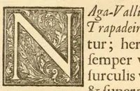 An illustration from Hortus Indicus Malabaricus ?continens regni Malabarici apud Indos cereberrimi onmis generis plantas rariores, Latinas, Malabaricis, Arabicis, Brachmanum charactareibus hominibusque expressas ... /adornatus per Henricum van Rheede, van Draakenstein, ... et Johannem Casearium ... ; notis adauxit, & commentariis illustravit Arnoldus Syen ... (1678)