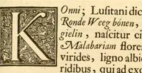 An illustration from Hortus Indicus Malabaricus ?continens regni Malabarici apud Indos cereberrimi onmis generis plantas rariores, Latinas, Malabaricis, Arabicis, Brachmanum charactareibus hominibusque expressas ... /adornatus per Henricum van Rheede, van Draakenstein, ... et Johannem Casearium ... ; notis adauxit, & commentariis illustravit Arnoldus Syen ... (1678)