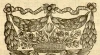 Picture 41 of 44 from Hortus Indicus Malabaricus ?continens regni Malabarici apud Indos cereberrimi onmis generis plantas rariores, Latinas, Malabaricis, Arabicis, Brachmanum charactareibus hominibusque expressas ... /adornatus per Henricum van Rheede, van Draakenstein, ... et Johannem Casearium ... ; notis adauxit, & commentariis illustravit Arnoldus Syen ... (1678), leaf 232