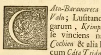An illustration from Hortus Indicus Malabaricus ?continens regni Malabarici apud Indos cereberrimi onmis generis plantas rariores, Latinas, Malabaricis, Arabicis, Brachmanum charactareibus hominibusque expressas ... /adornatus per Henricum van Rheede, van Draakenstein, ... et Johannem Casearium ... ; notis adauxit, & commentariis illustravit Arnoldus Syen ... (1678)
