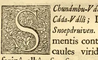 An illustration from Hortus Indicus Malabaricus ?continens regni Malabarici apud Indos cereberrimi onmis generis plantas rariores, Latinas, Malabaricis, Arabicis, Brachmanum charactareibus hominibusque expressas ... /adornatus per Henricum van Rheede, van Draakenstein, ... et Johannem Casearium ... ; notis adauxit, & commentariis illustravit Arnoldus Syen ... (1678)