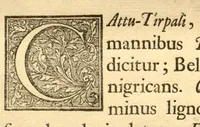 An illustration from Hortus Indicus Malabaricus ?continens regni Malabarici apud Indos cereberrimi onmis generis plantas rariores, Latinas, Malabaricis, Arabicis, Brachmanum charactareibus hominibusque expressas ... /adornatus per Henricum van Rheede, van Draakenstein, ... et Johannem Casearium ... ; notis adauxit, & commentariis illustravit Arnoldus Syen ... (1678)