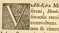 Picture 11 of 44 from Hortus Indicus Malabaricus ?continens regni Malabarici apud Indos cereberrimi onmis generis plantas rariores, Latinas, Malabaricis, Arabicis, Brachmanum charactareibus hominibusque expressas ... /adornatus per Henricum van Rheede, van Draakenstein, ... et Johannem Casearium ... ; notis adauxit, & commentariis illustravit Arnoldus Syen ... (1678), leaf 46
